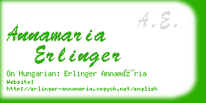 annamaria erlinger business card